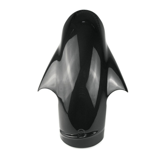 Ducati 748 916 996 998 Supersport IE 100% Carbon Kotflügel Vorne Leinwand.