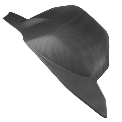 Ducati  Streetfighter V4 100% Carbon Schwingenschoner Satin  Swingarm Cover Protection Bras Oscillant